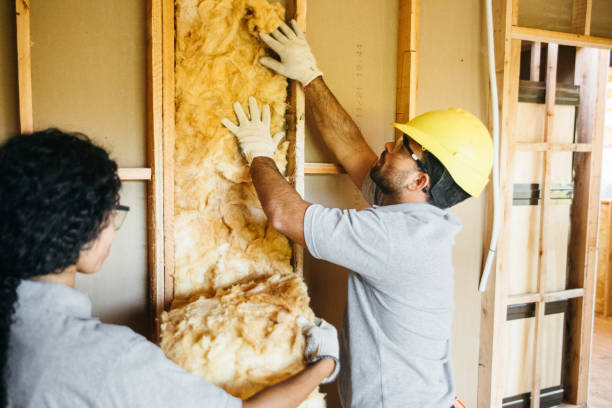 Best Insulation Replacement Services  in Jamesport, NY